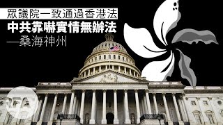 【桑海神州】美眾議院一致通過香港法，中共靠嚇實情冇辦法