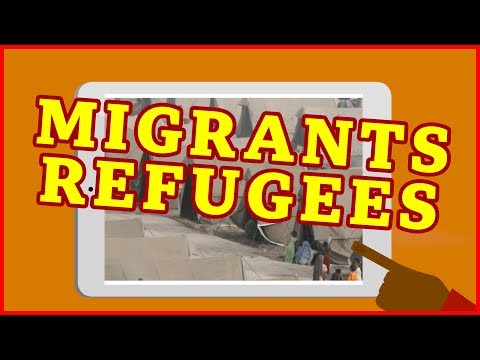 What's the difference between a migrant and a refugee? - BBC What's New?