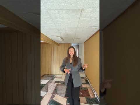 Vidéo