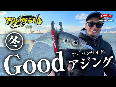 《 アジングトラベル vol.11》真冬のアジング！強風＆劇シブでも問題ナシ！良型連発の必殺テク公開！