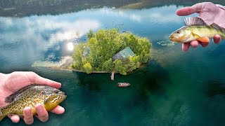 MULTI-SPECIES Fishing On A MICRO PRIVATE ISLAND (PART 2)