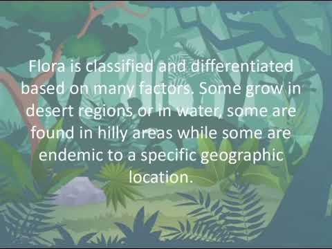 Nikhilesh abhi presentation flora and fauna