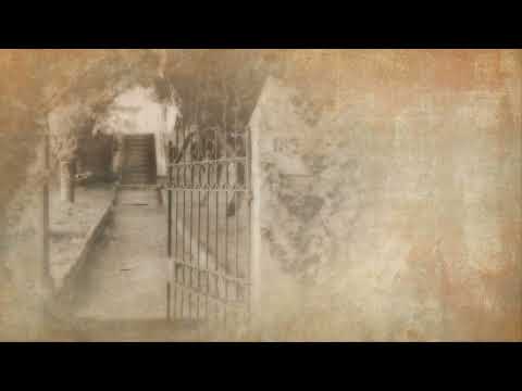 Pavle Stefanović - Rado, mori Rado