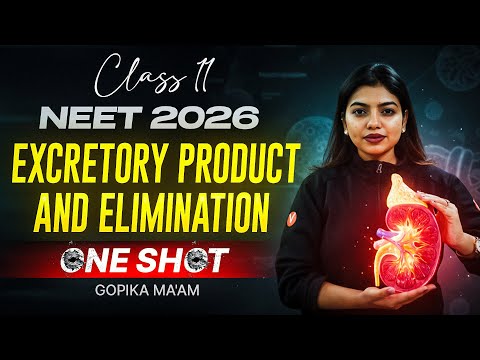 Excretory product & Elimination | One Shot | Class 11 | NEET 2026 | Gopika Ma'am