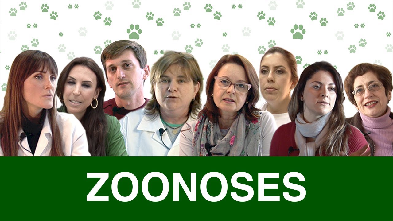 Zoonoses