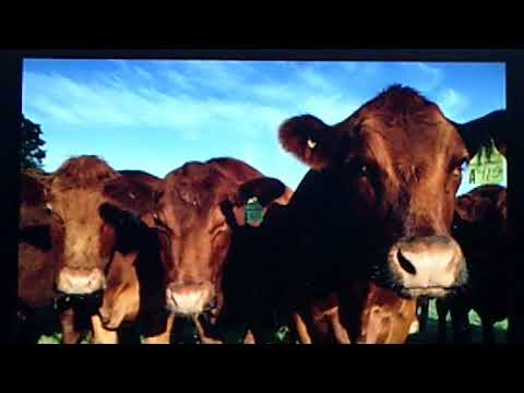 Dick Robertson and his Orchestra, v./Dick:  "On a Little Dream Ranch"  (1937)