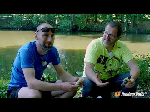 PVA-logia, czyli wszystko na temat PVA