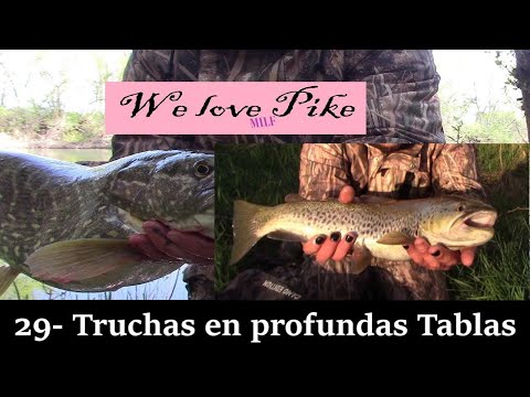 WLP 29: " Truchas en Tablas"