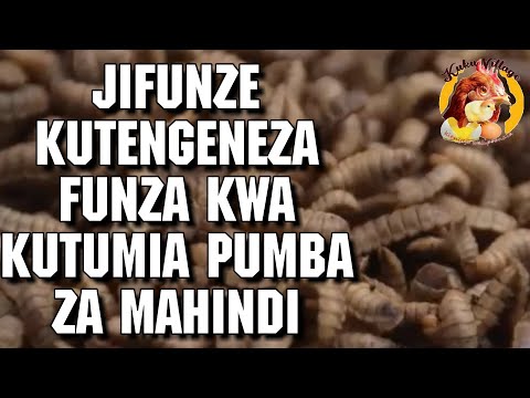 , title : 'Njia Rahisi ya Kutengeneza FUNZA wa kuwalisha Kuku wa Kienyeji Kwa Kutumia Pumba za Mahindi.'