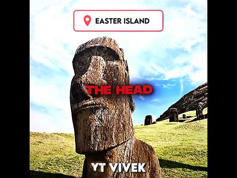 If You Know You Know 💀🗿