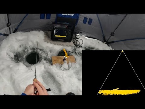 New Spot Scouting | Cool Eagle Eye 9" Sonar Footage