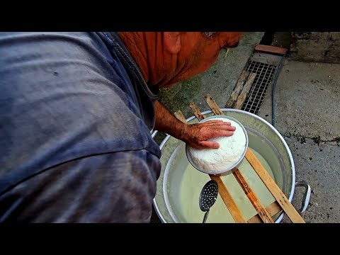 PECORINO SARDO ( preparazione del pecorino sardo fattu a s'antiga) OLLASTRA - SARDEGNA