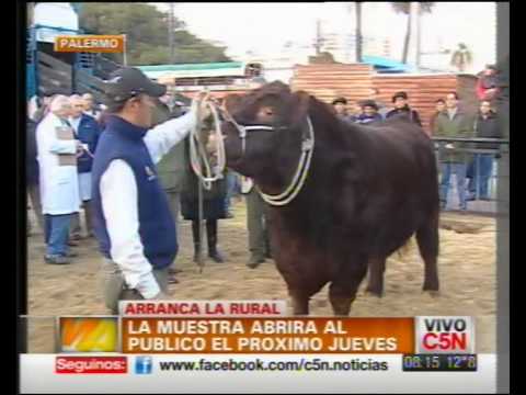 C5N - RURAL EXHIBITION: THE FIRST ANIMAL HAS ARRIVED