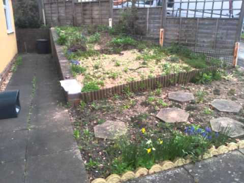 P.R THORNTON BUILDERS video.