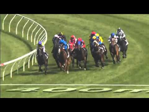 Randwick Race 2 April 16th 2016 - SECURITY SPRINT
