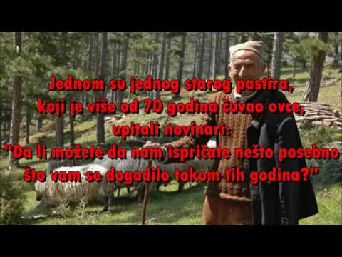 Prica koja ce vam naterati suze na oci (prica o pastiru i vuku)
