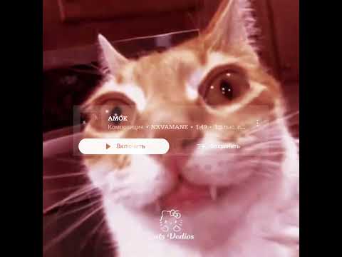 NXVAMANE -AMOK #avee_player #phonkagressive #bass #aveeplayerlegend #edit #bass #music