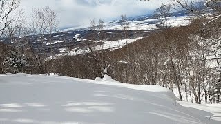 Tree run freaks 2 - Kamui Ski Links 2025/3/7