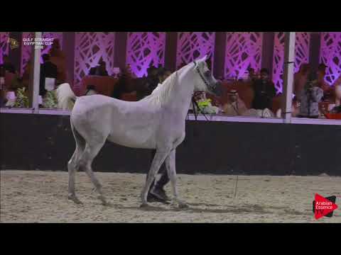 71 MADLEDG AL NAIF   Gulf SE Cup 2018