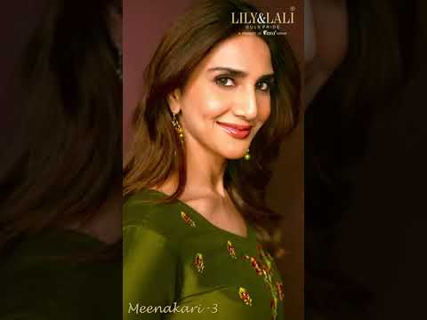 Lily &amp; Lali Meenakari 3 Bemberg Silk Wholesale Designer Readymade Salwar Suit Catalog – product video thumbnail