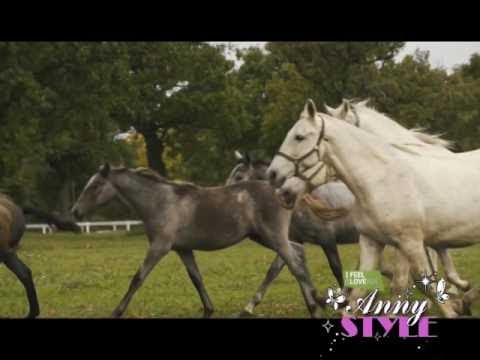 Anny STYLE 422 - HAIR STYLE, prolece/leto 2017