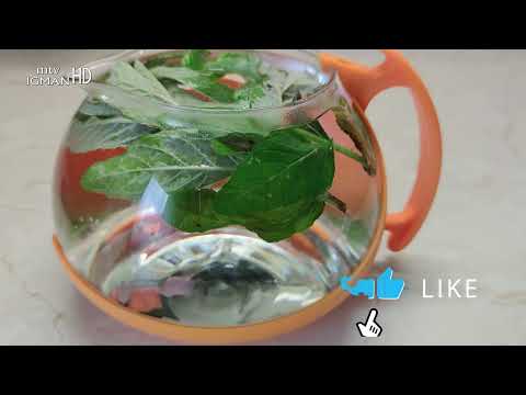 ODLIČAN LIJEK PROTIV ČIRA NA ŽELUCU - DIVLJA NANA