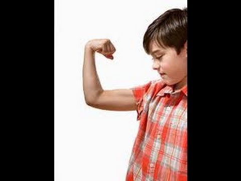 Muscular System - Our Muscles - Muscular system functions for kids