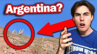 Botanist Exposes UNKNOWN Vegetation Clues in Geoguessr!!