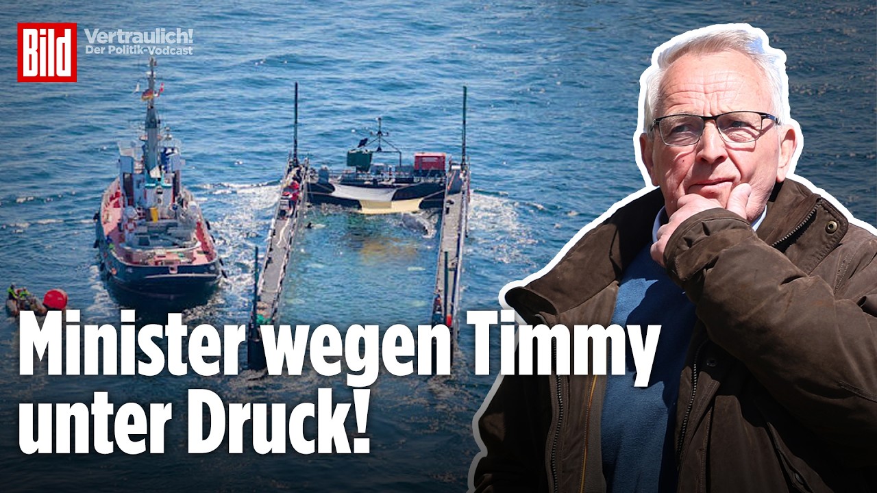 Drama um Wal Timmy geht weiter! Minister Backhaus muss sich harten Fragen stellen! | Vertraulich