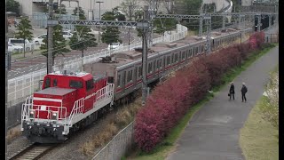 東急3000系甲種輸送in水際線公園