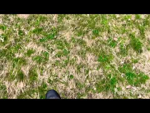 Unaza e Zanave - Këto rrethe janë të rralla në botë.