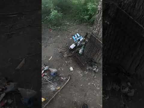 Pesca de Dorados y Bagres en el río gastona. Atahona, Tucumán. #pesca #pez #rio #dorados #argentina