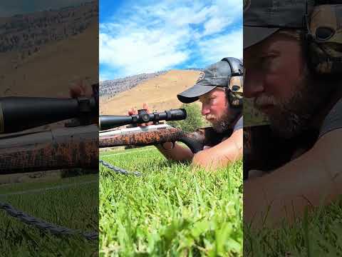Tikka T3X Review: Luigi's New Deer Rifle