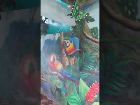 Mirador del Colibrí San Pedro La Laguna Sololá. Parte 4