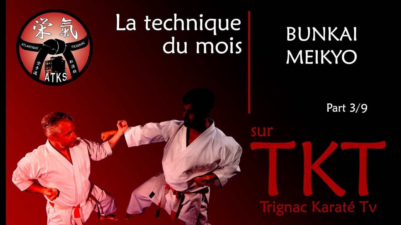 Bunkai Meikyo Part 3