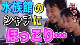 【ひろゆき】鴨川シーワールドでほっこりした後の話【ひろゆき切り抜き/論破】