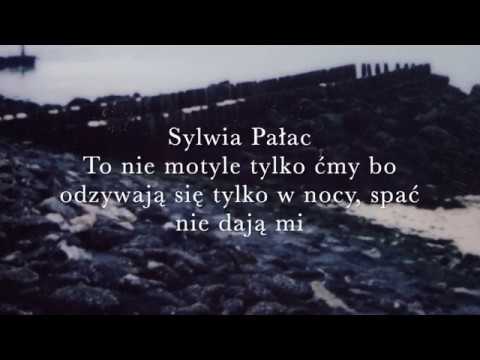 To nie motyle tylko ćmy  // Rzeczy zainspirowane rozmowami z nieznajomymi // Sylwia Pałac