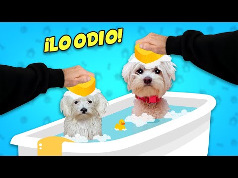 My dogs get bathed, but they hate it so much!!