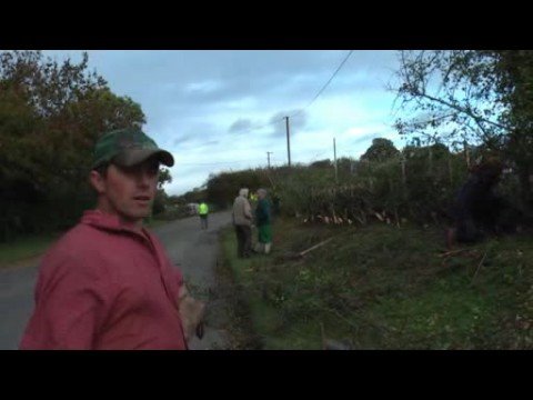 Flintshire Hedging Competition