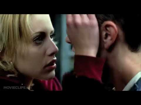 Close-up of bus ride imagery from 8 Mile trailer, Rabbit looking out the window