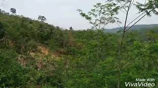 Download lagu MORO BAGONG CIBODAS mp3