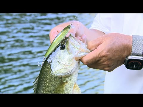 I tried fishing with a small Cindy.