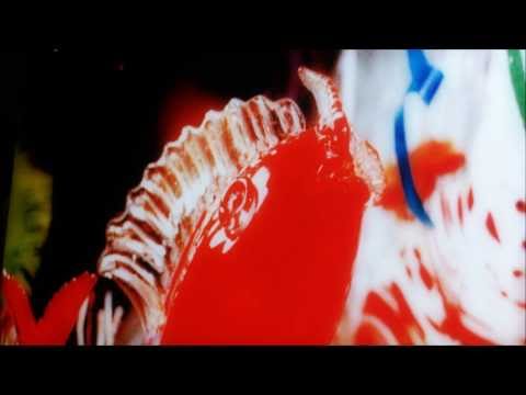 Video thumbnail for Sea Swells and Distant Squalls
