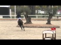 Kandy De La Tombe Jump Off Final 5yo 3rd Place Oliva 2015