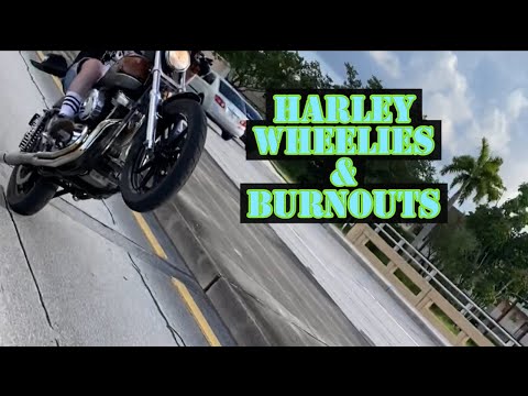 Harley Wheelies & Burnouts