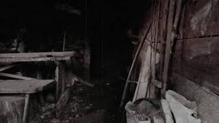 Decrepitude - Untitled