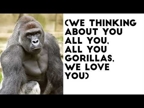 Elon Musk- RIP Harambe [Lyrics]