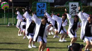 preview picture of video '平塚学園高等学校チアリーディング部(よさこい・星舞フェスタ2011)'