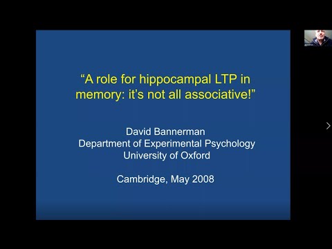 Zangwill Talk by Prof David Bannerman "Hippocampal LTP and Psychiatry: The Prime Suspect"