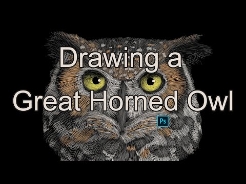 How to Draw a Great Horned Owl